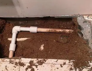 崇义测漏水哪家好