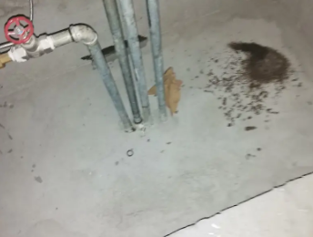 崇义卫生间测漏水价格明细